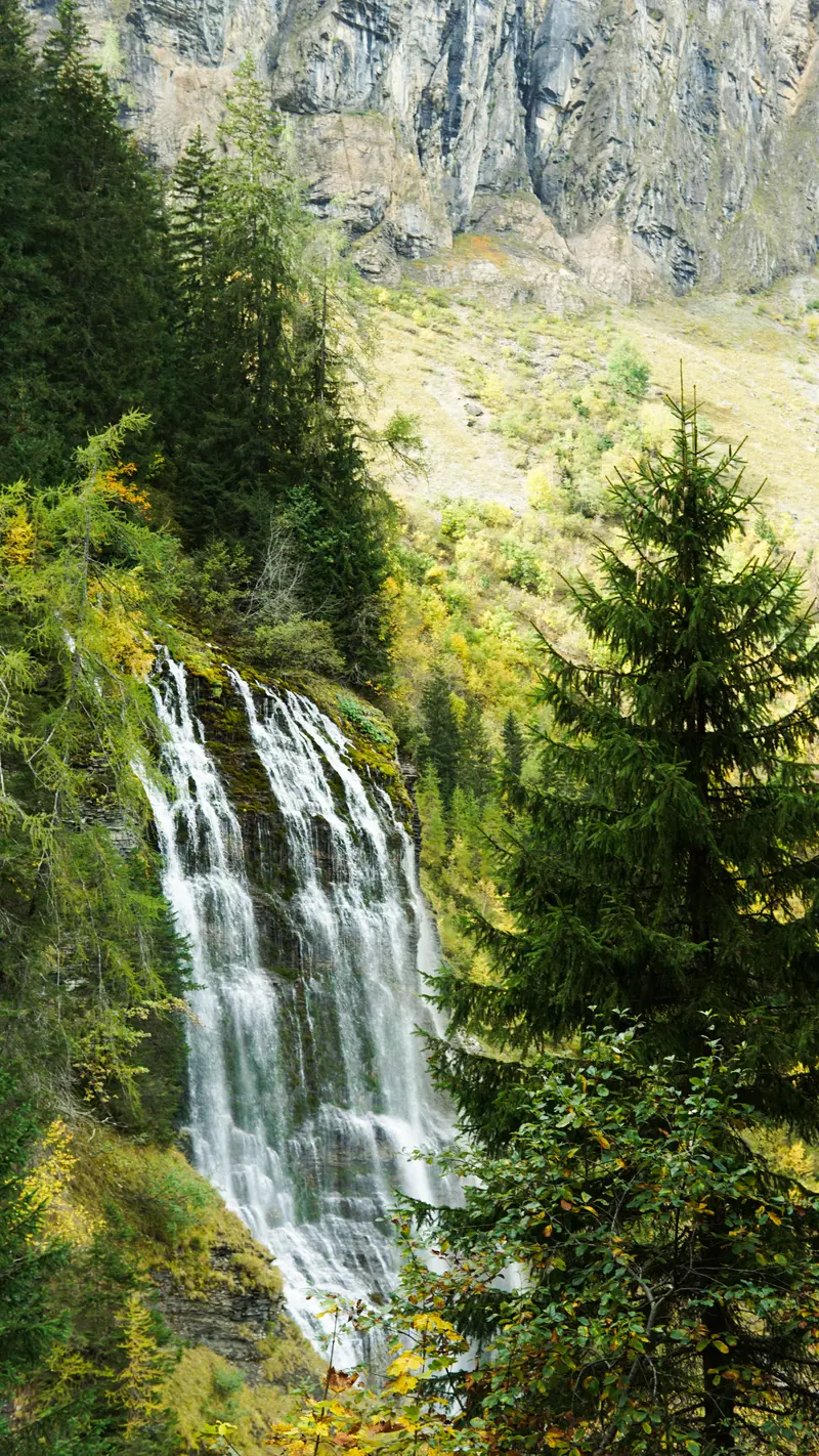 LANDSCAPES - Photo 10