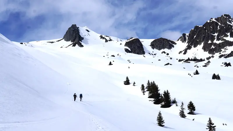 LANDSCAPES - Photo 7